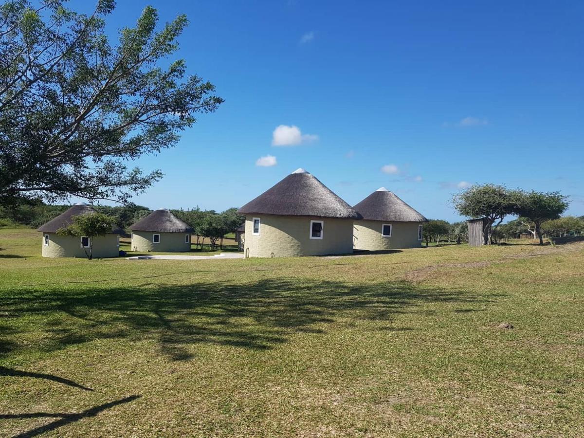 סודוואנה ביי Izulu Eco Lodge מראה חיצוני תמונה